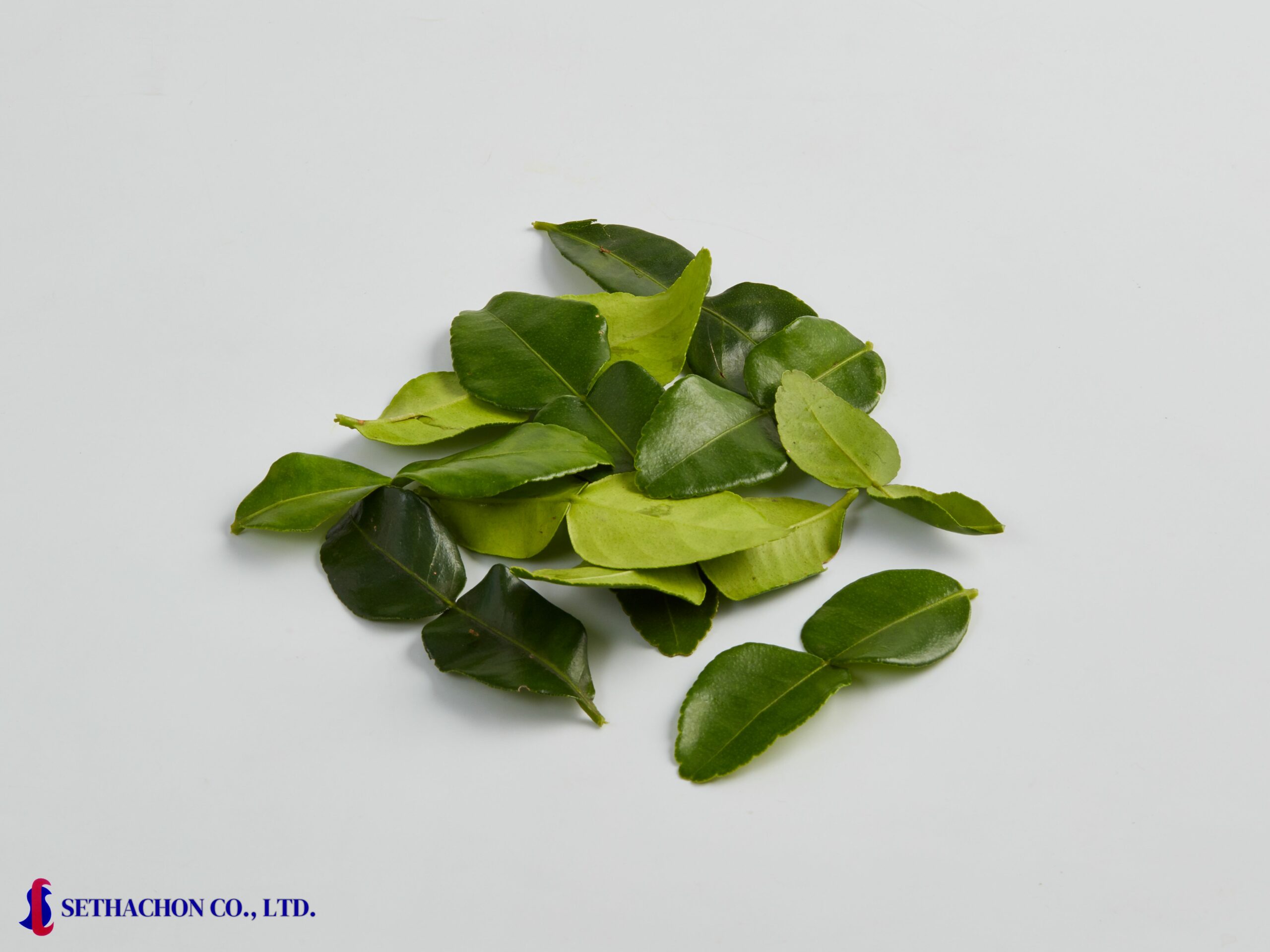 Kaffir Lime Leaf - Sethachon